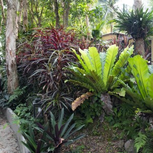 1as